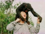 Recordando a Jane Goodall, la gigante defensora de los animales, en imágenes