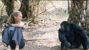 El legado de Jane Goodall trascendió la vida salvaje e impactó en el rol de la mujer en la ciencia