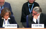 Dimiten dos miembros de la Misión de Determinación de Hechos de la ONU para Venezuela