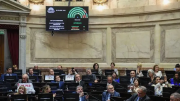 El Senado revirtió los vetos de Javier Milei: cómo votaron los legisladores de Neuquén y Río Negro