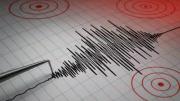 Temblor en Chile: un sismo de mediana intensidad se registró en el región de Coquimbo este jueves