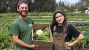 El Indap abrió las inscripciones para el programa Tierra Joven: ¿quiénes pueden postular en Chile?