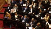 Doble derrota para Javier Milei: el Senado rechazó los vetos a la emergencia pediátrica y el financiamiento universitario