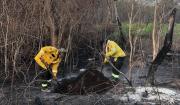 Persisten ocho incendios activos; las lluvias no impactaron las zonas más afectadas