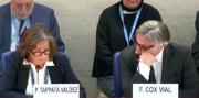 Dos expertos de Misión ONU sobre Venezuela presentan renuncias y alegan “dificultades” – Correo del Caroní