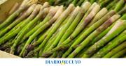 Recetas con espárragos para hacer comidas fáciles, ricas y rápidas