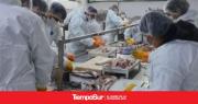 Avanza el curso de filetero con perspectiva social en San Julián