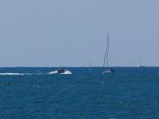 Israel da por desactivada la Flotilla a Gaza, pero hay confusión con los barcos más pequeños