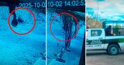 Video: Ladrón perdió los dientes tras chocar contra una pared con una moto que robó segundos antes