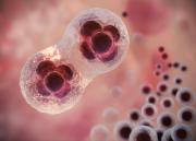 Un hito en reproducción asistida: creación de óvulos fecundables a partir de células de la piel