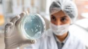 Científicos descubren “talón de Aquiles” de bacterias resistentes: la lucha contra infecciones graves avanza