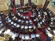 El Senado rechazó los vetos de Milei a la Emergencia Pediátrica y al financiamiento universitario
