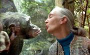 Murió la famosa conservacionista Jane Goodall
