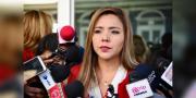 Gobierno reafirma su compromiso con la transición democrática y el respeto al voto