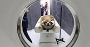 La Facultad de Veterinaria de la UNLP sumó el primer tomógrafo computado en una universidad pública del país