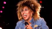 Bronca entre fanáticos por una estatua de Tina Turner: qué pasó