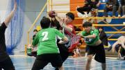 Se juegan semifinales del Torneo Argentino Juvenil “B” de Handball