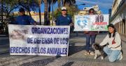 Organizaciones e instituciones en defensa de los animales anuncian marcha contra el maltrato y venta ilegal de mascotas