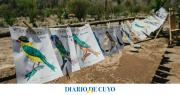 Con una búsqueda del nido escondido y hasta concursos de dibujo y barriletes, realizarán la segunda edición del Festival de las aves