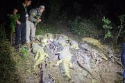 Investigan presunto biocidio tras el hallazgo de 41 caimanes desollados en una laguna de Casarabe, Beni