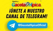 Esta es la cuenta de Telegram de Gaceta Hípica (+datos y estadísticas)