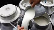 Diputados arcistas y evistas aprueban proyecto de ley para crear un fondo similar al “Pro Leche”