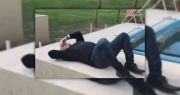 Se viralizaron imágenes de José Luis Espert tomando sol en la casa de Fred Machado