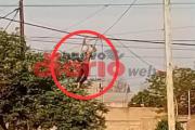VIDEO: Como monos, así roban cables en la zona del canal San Martín