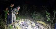 Beni: Hallan 41 caimanes muertos y sin piel; Pofoma investiga biocidio y tráfico ilegal