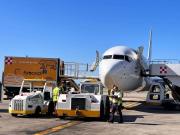 Amenaza de bomba en un vuelo de Flybondi en Ezeiza obligó a desalojar la aeronave