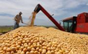 Por liquidación anticipada, el agro no tiene stock suficiente para el resto del año