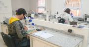 Una buena: estudios confirman que las heladas no generaron daño en la vid sanjuanina esta temporada