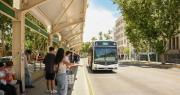 Estas son las líneas que llegan a la sede de la Dirección de Discapacidad en Santa Lucía