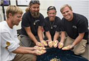 Encuentran un millón de dólares en monedas de oro en la famosa Costa del Tesoro de Florida: este es el monto de recompensa para los buzos