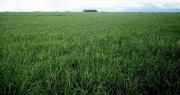 ¿Para qué será utilizado el campo de 134 hectáreas que la UNLP recibirá de la Provincia?