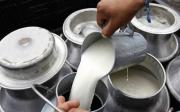 Bolivia impulsa el desarrollo del sector lechero con nueva ley aprobada por la Cámara de Diputados