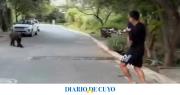 El video del aterrador momento de Ángel Correa y su familia cuando encontraron un oso en la puerta de su casa