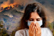 El humo de los incendios puede causar 1,4 millones de muertes anuales a fin de siglo