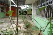 México: comunidades denuncian que pesticidas para cultivo de papa amenazan su salud y un bosque de niebla