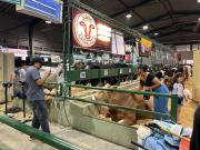 Desde La Paz: Cabaña Ganadera Casablanca debuta en la Expocruz
