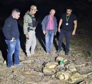 Investigan biocidio: hallan 41 caimanes muertos en una laguna de Beni