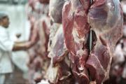 Gobierno instruye investigación a frigorífico cruceño por presuntas irregularidades en documentación para exportar carne