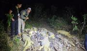 Investigan presunto biocidio tras el hallazgo de 41 caimanes desollados en una laguna de Casarabe, Beni