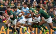 Los Pumas lucharon hasta el final, pero ganó Sudáfrica y se consagró bicampeón del Rugby Championship