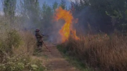 Incendio intencional en la Península Hiroki: “Es muy grave lo que pasó”