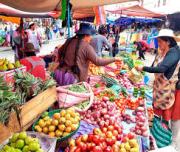 La inflación hasta junio llega a 15,53 % y duplica la previsión anual