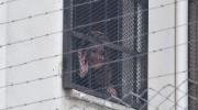 Áñez dice que el Tribunal Supremo de Justicia consideró al fin las ilegalidades de su condena