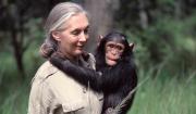 Netflix publica una de las últimas entrevistas de Jane Goodall