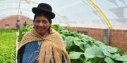 En Achocalla entregan 74 invernaderos para producir 108 toneladas de hortalizas al año