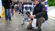 Más de 40 mil visitantes reunió la 11ª Expo Industrial